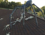 Spider.JPG