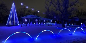 BlueScene2020-2.jpg