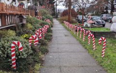 in yard 2.jpg