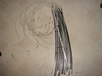 MiniRose2011_5050 stick.JPG MiniRose2011_5050 stick.JPG