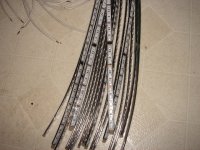 MiniRose2011_5050 close.JPG MiniRose2011_5050 close.JPG