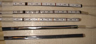 MiniRose2011_5050 zoom5.JPG MiniRose2011_5050 zoom5.JPG