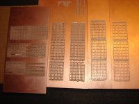 MiniRose2011_MRB1.JPG MiniRose2011_MRB1.JPG