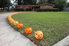 pumpkins.jpg